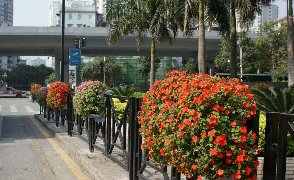 花箱護(hù)欄 花箱護(hù)欄